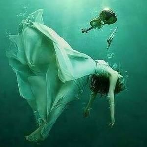 Meet your Posher, Dia